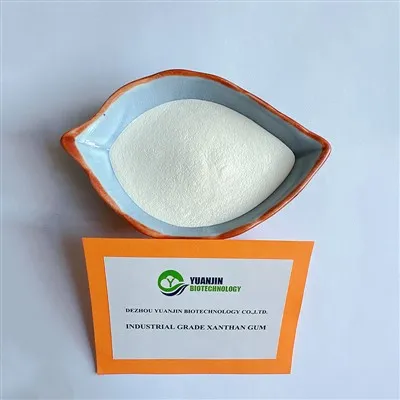 Ksantan Sakız Tozu salata soslarında kullanılabilir mi?